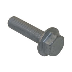 CORTECO 80001242 Riemenscheibenschraube RENAULT CLIO 2 (BB0/1/2, CB0/1/2)