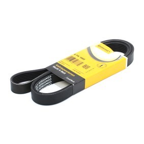 CONTITECH 6PK1660 Keilrippenriemen CITROËN Xantia Schrägheck (X1_, X2_) 1.8 90 PS Otto