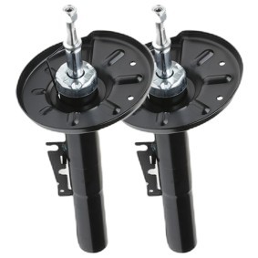 Compre Amortecedor da RIDEX 854S19303 a um preço baixo por 200,73&nbsp;&euro;