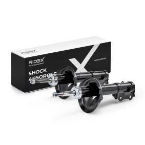 Compre Amortecedor da RIDEX 854S19319 a um preço baixo por 22,89&nbsp;&euro;