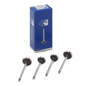 AE V94609 Auslaßventil SUZUKI