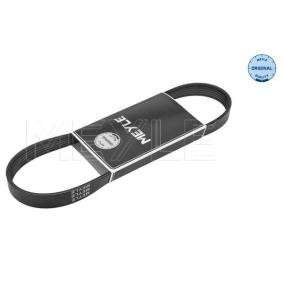 Compre Correia trapezoidal estriada da MEYLE 050 006 0900 a um preço baixo por 12,31&nbsp;&euro;