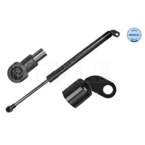 Köp Gasfjäder till baklucka av MEYLE 340 160 0104 till det låga priset 352,67&nbsp;kr