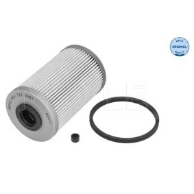 MEYLE 614 009 0004 Spannrolle OPEL Astra H Caravan (A04) 1.6 105 PS Otto