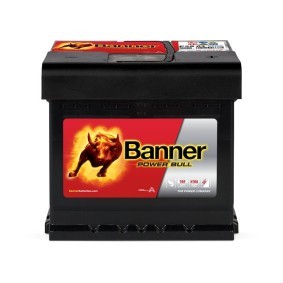 BANNER 013550030101 Batteria NISSAN VERSA