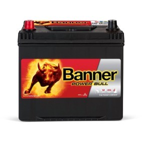 BANNER 013560690101 Batteria NISSAN ELGRAND