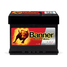 BANNER 013563400101 Batteria NISSAN VERSA