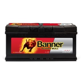 BANNER 013610400101 Batteria NISSAN NV350