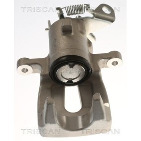 Compre Pinça de travão da TRISCAN 8175 25217 a um preço baixo por 102,19&nbsp;&euro;