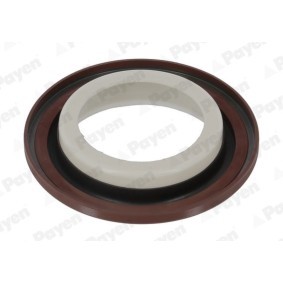 PAYEN NA5498 Kurbelwellensimmering RENAULT Megane 3 Schrägheck (BZ0/1_) 1.2 116 PS Otto