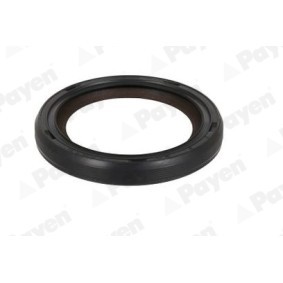 PAYEN NA5501 Kurbelwellensimmering RENAULT Megane 3 Schrägheck (BZ0/1_) 1.2 116 PS Otto