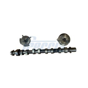 FRECCIA CM05-2420 Nockenwelle RENAULT MEGANE 3 Grandtour (KZ0/1) 1.2 116 PS Otto