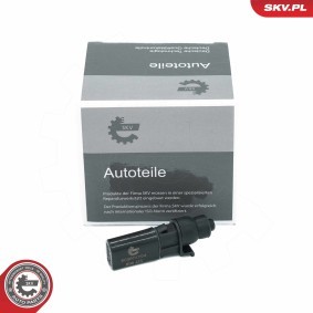 ESEN SKV 60SKV704 Cierre centralizado AUDI A6