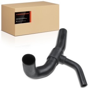 Frankberg 5481FB0022069 Tubo intercooler FORD ORION