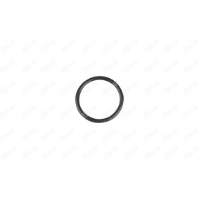 IBRAS 33268 Guarnizione per refrigerante MERCEDES-BENZ SLK