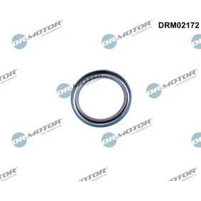 DR.MOTOR AUTOMOTIVE DRM02172 Kurbelwellensimmering RENAULT MEGANE 3 Grandtour (KZ0/1) 1.9 131 PS Diesel