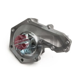 JPN 10C9071-JPN Einlaßventil RENAULT LAGUNA 1 (B56, 556) 2.0 109 PS Otto