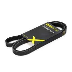 RIDEX PLUS 305P0043P Courroie d'alternateur RENAULT MEGANE 1 Classic (LA0/1) 1.6 75 CV Essence