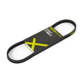 RIDEX PLUS 305P0007P Correia do alternador FORD MONDEO