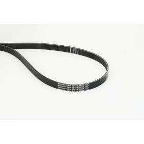 Compre Correia trapezoidal estriada da CONTITECH 6PK1212 EXTRA a um preço baixo por 22,17&nbsp;&euro;