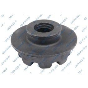 GSP 538960 Federteller RENAULT KOLEOS (HY_)