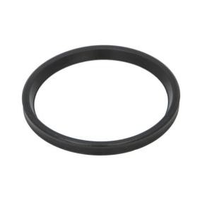 THERMOTEC DCR278TT Dichtring, Ladeluftschlauch RENAULT Megane 3 Schrägheck (BZ0/1_)