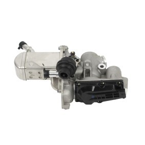 ABAKUS 121-00-038 AGR Ventil RENAULT MEGANE 3 Grandtour (KZ0/1) 1.9 131 PS Diesel