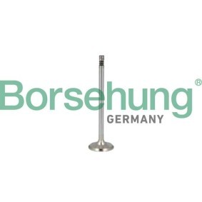 Comprar Válvula de escape de Borsehung B10350 a bajo precio de 21,00&nbsp;&euro;