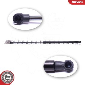 ESEN SKV 52SKV780 Kofferraum PEUGEOT 207 CC (WD_)