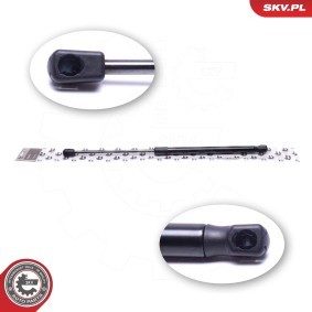 ESEN SKV 52SKV814 Amortiguador de maletero KIA Picanto (SA)