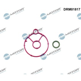 Dichtungssatz, Ölkühler von DR.MOTOR AUTOMOTIVE DRM01817