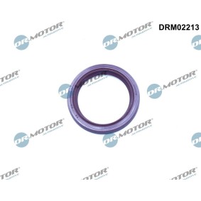 DR.MOTOR AUTOMOTIVE DRM02213 Kamaxel PEUGEOT 207 SW (WK_) 1.6 110 hk Bensinmotor