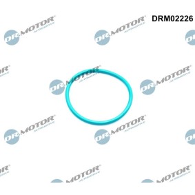 DR.MOTOR AUTOMOTIVE DRM02226 Junta de válvula egr FORD ECOSPORT
