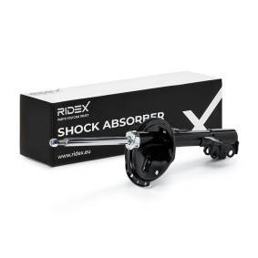 RIDEX 854S19489 Amortisseur LEXUS RX (MHU3_, GSU3_, MCU3_)
