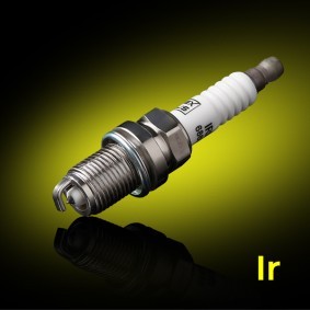 RIDEX PLUS 686S0029P Velas de ignição LAND ROVER Range Rover Sport (L320)