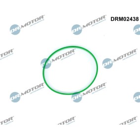 DR.MOTOR AUTOMOTIVE DRM02438 Gasspjæld FORD FOCUS