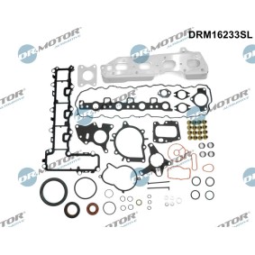 Dichtungsvollsatz, Motor von DR.MOTOR AUTOMOTIVE DRM16233SL