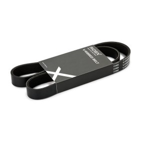RIDEX 305P0688 Correia do alternador RENAULT TALIANT