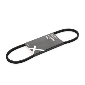 RIDEX 305P0741 Correia do alternador RENAULT TWINGO