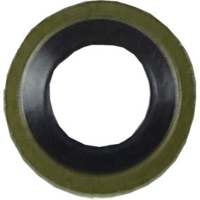 PLANET TECH PL2101 Ölablaßschraube Dichtung FIAT GRANDE PUNTO (199) 1.3 69 PS Diesel