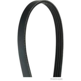 HERTH+BUSS JAKOPARTS J1041005 Cinghia servizi SUZUKI BALENO Station wagon (EG)