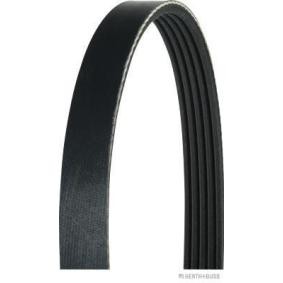 HERTH+BUSS JAKOPARTS J1050925 Correia do alternador KIA PICANTO