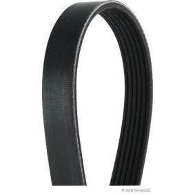 HERTH+BUSS JAKOPARTS J1061230 Keilrippenriemen VOLVO XC60 II (246) 2.0 334 PS Hybrid