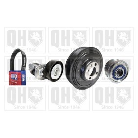 Compre Jogo de correias trapezoidais estriadas da QUINTON HAZELL QDK200 a um preço baixo por 250,87&nbsp;&euro;