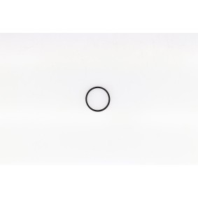 CORTECO 023178H Dichtung Thermostat  FIAT DUCATO Bus (230) 2.0 109 PS Otto