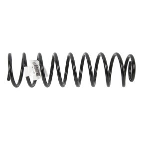 ABAKUS 234-02-045 Federn SEAT Ibiza 2 (6K1)