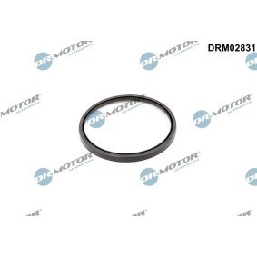 DR.MOTOR AUTOMOTIVE DRM02831 Kurbelwellensimmering VOLVO S60 II Cross Country (134) 2.5 249 PS Otto