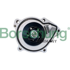 Borsehung B11218 Válvula de admisión MINI Paceman (R61) 1.6 116 cv Motor otto