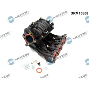 DR.MOTOR AUTOMOTIVE DRM15808 Collecteur d'admission CHEVROLET Aveo / Kalos 3/5 portes (T250, T255) 1.4 94 CV Essence