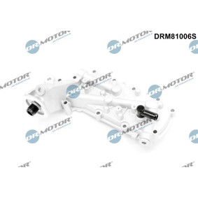 DR.MOTOR AUTOMOTIVE DRM81006S HYUNDAI H-1 Umpikori Öljynsuodattimen jalka